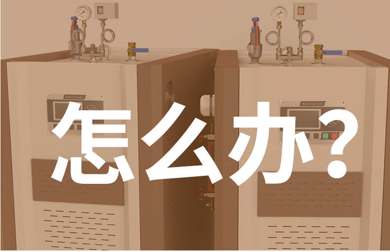 QE蒸汽发生器详情页_04.jpg